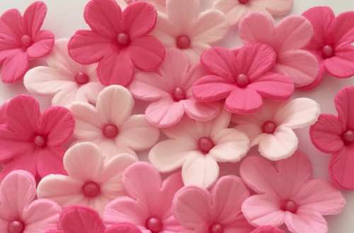 Icing Flowers Www Cakestuff Co Nz Cakestuff Your One Stop