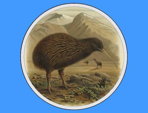 NZ Kiwi Edible Icing Image - Click Image to Close